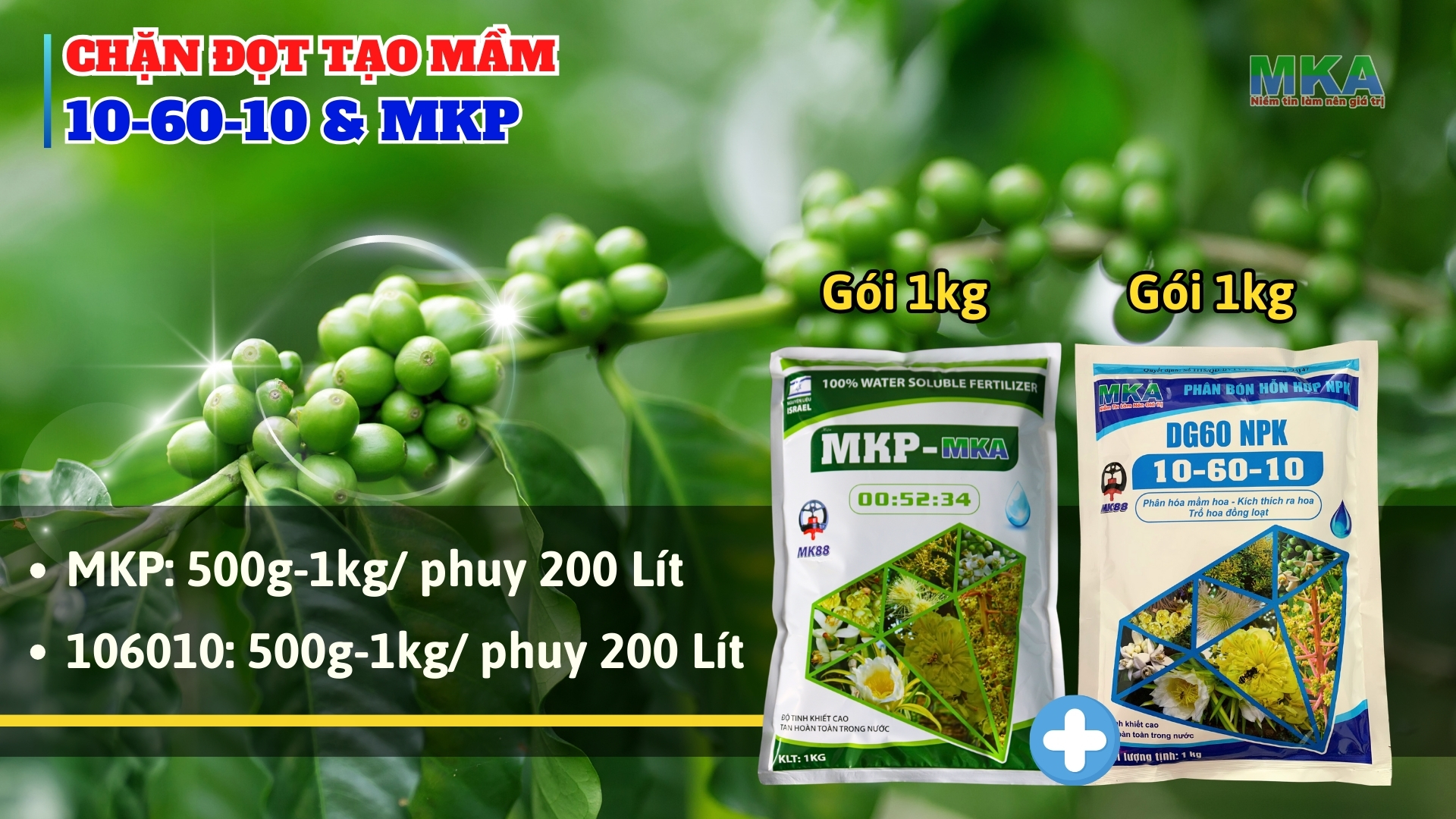 Lân cao 10-60-10 MKA chặn đọt tạo mầm kích thích ra hoa 